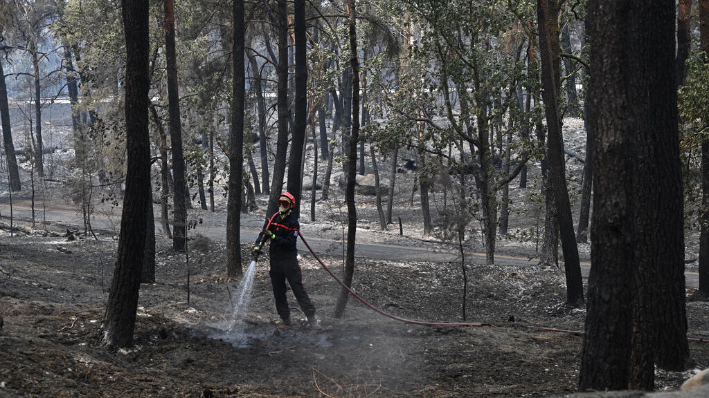 Fire reignites in Fontainebleau forest as investigation continues