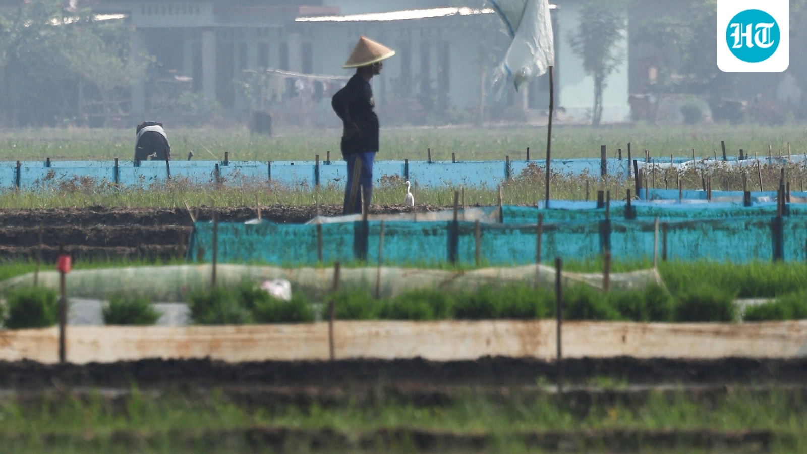 El Nino is here and scientists fear it'll be big, bad and costly with heat, floods, droughts, fires