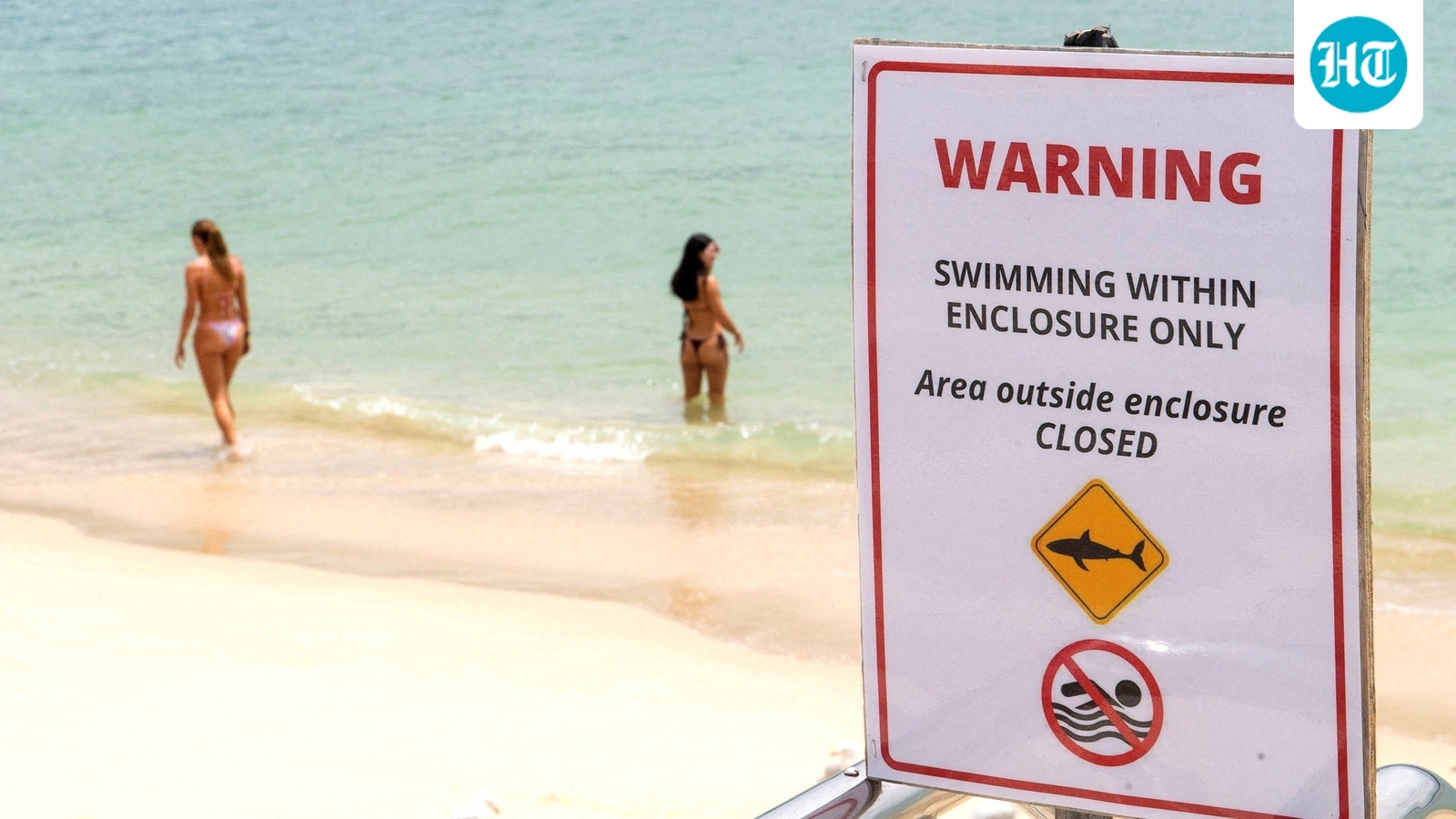 Shark attack in Sydney Harbour, Australian teen in critical state