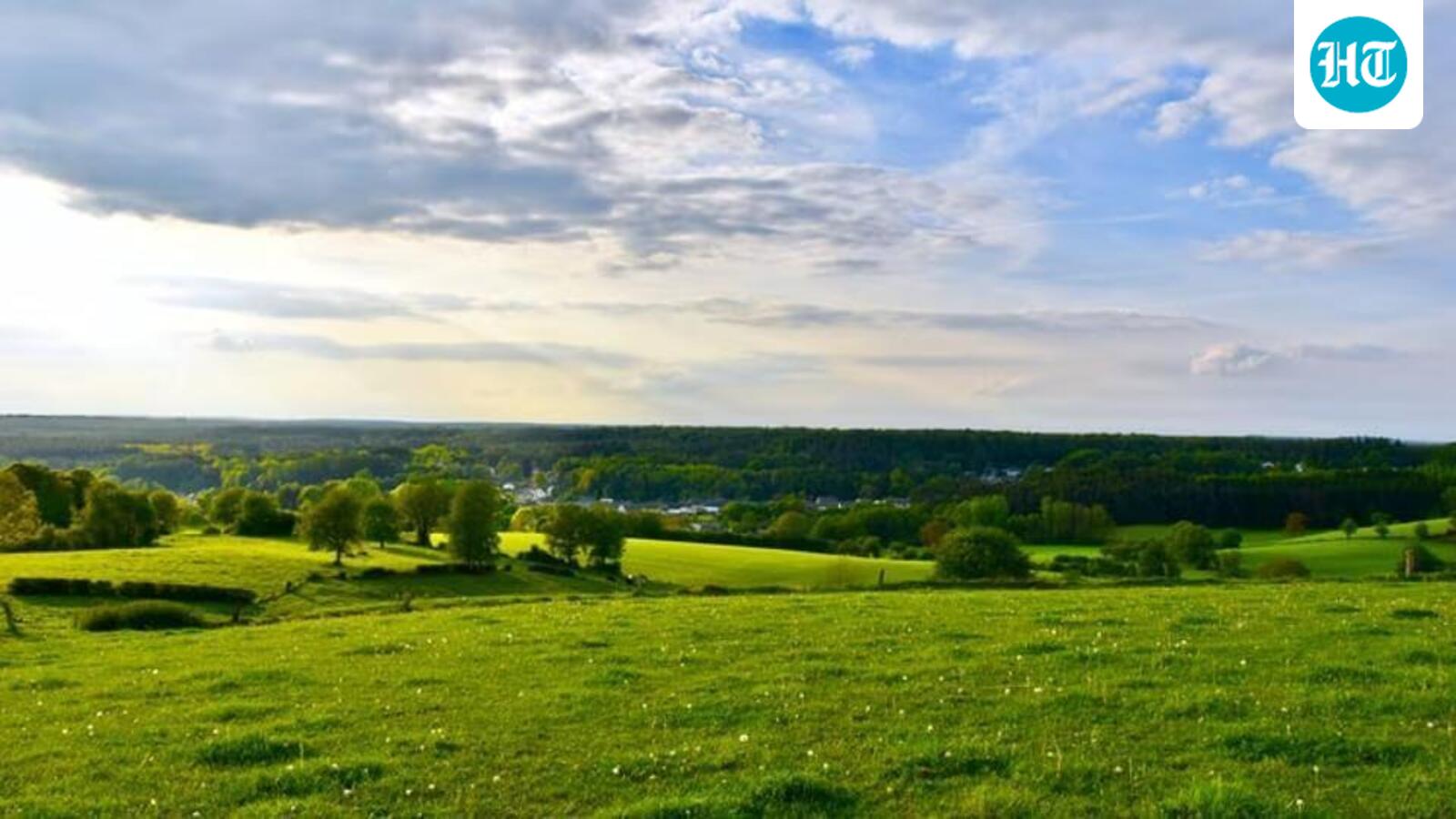 States urge Centre to amend, clarify grassland ecosystems under afforestation law