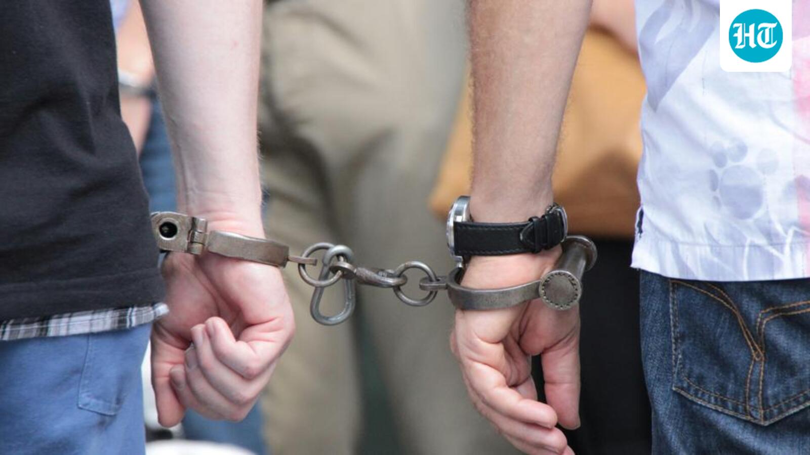 21-year-old man held for brutally killing cat after video goes viral in Gujarat