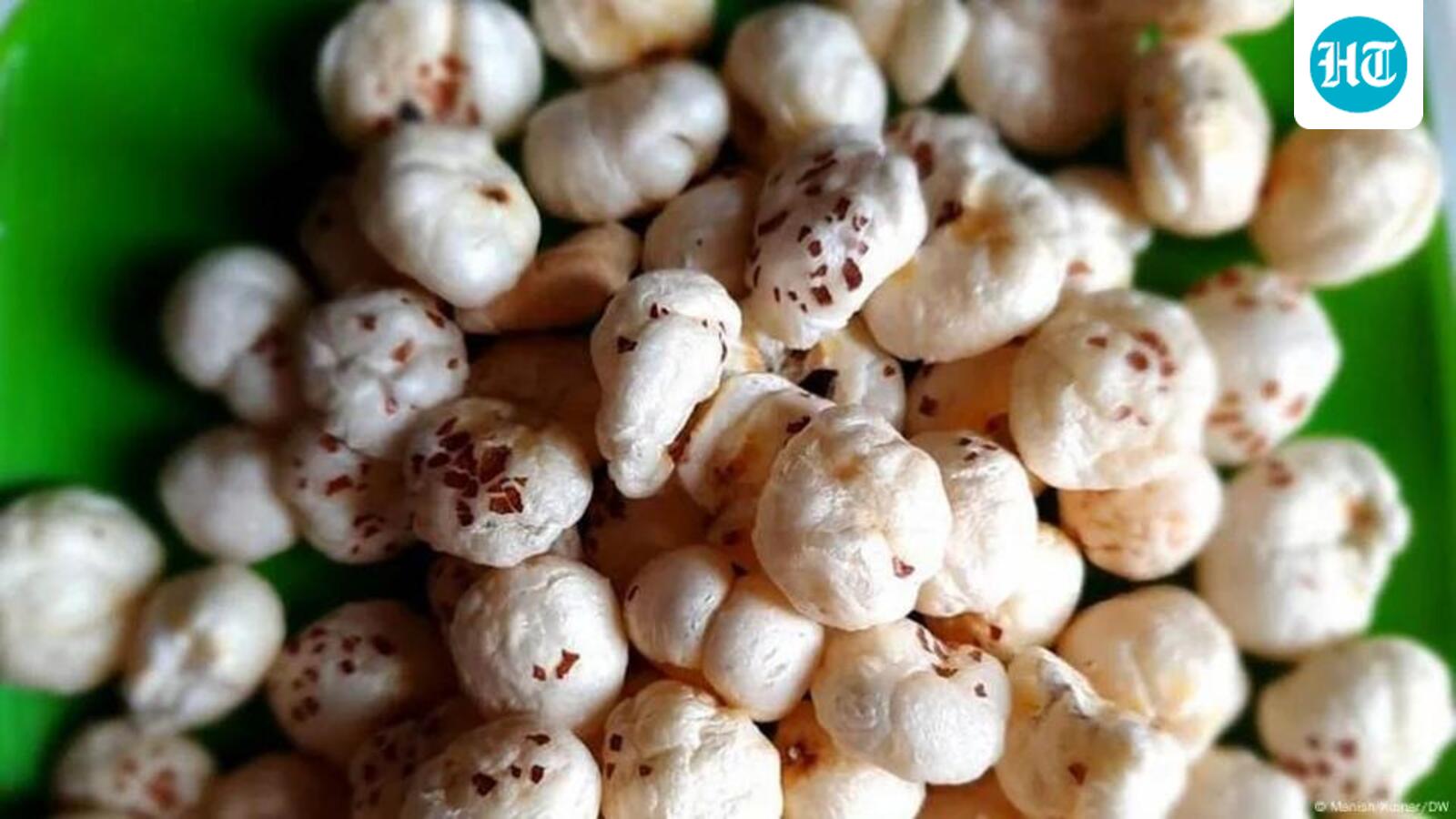 Bihar’s makhana boom: How fox nuts are transforming farmers’ lives in Purnia, Katihar