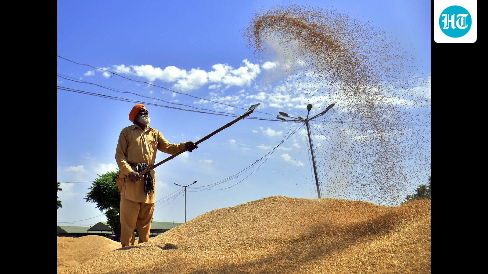 Country has surplus grain stocks: Officials