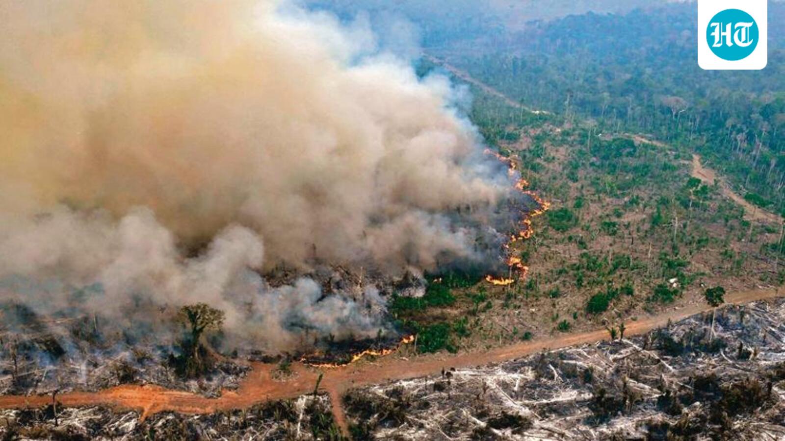 Climate crisis to AI: Challenges facing the future of humanity