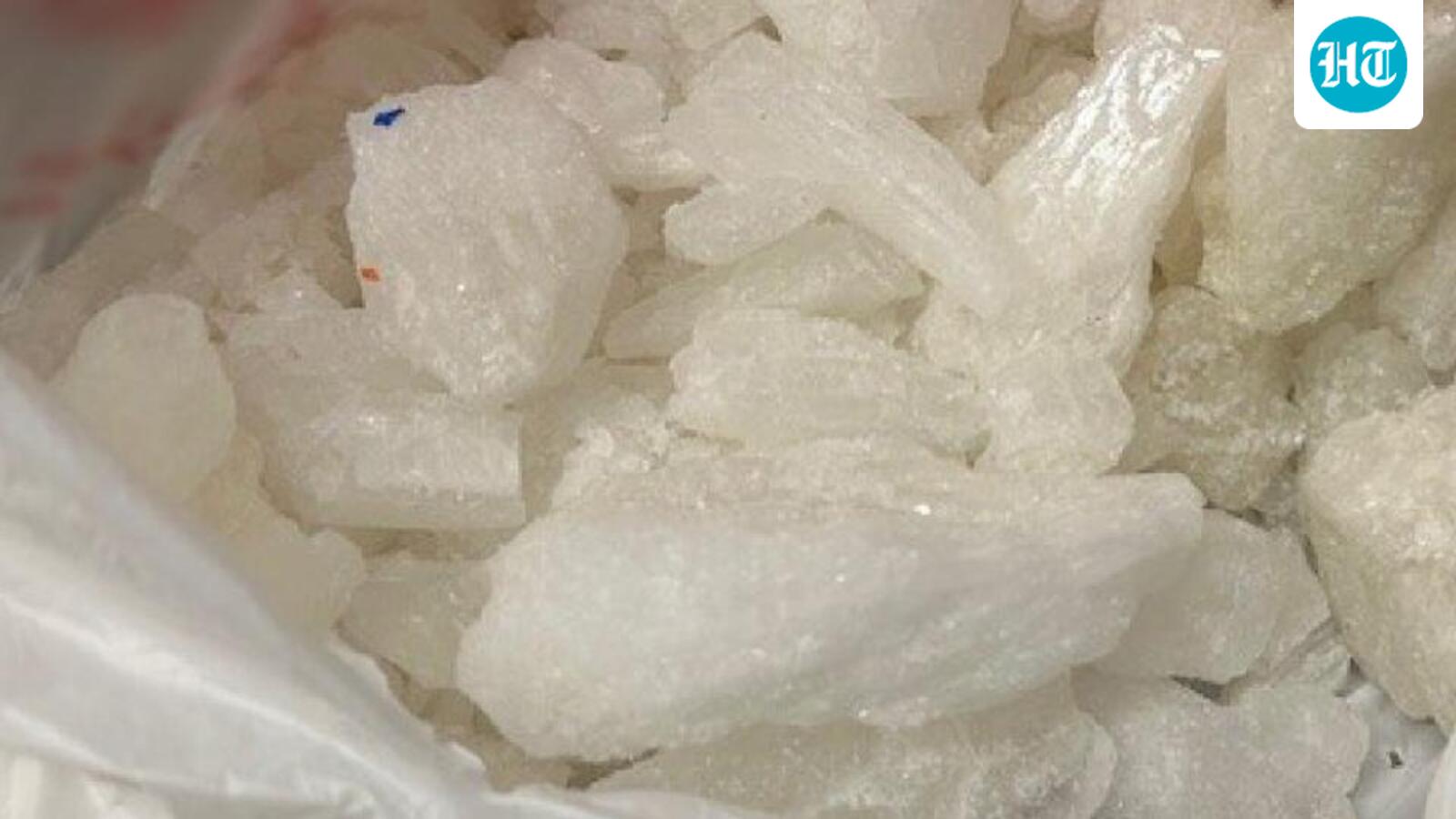 Indo-Canadian trucker pleads guilty for crash that killed Olympian