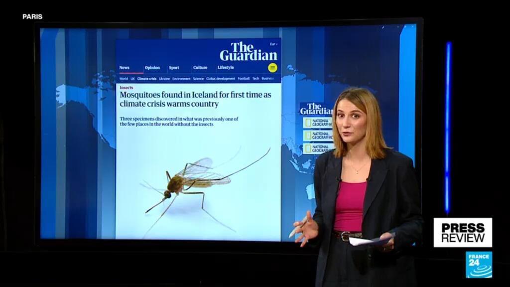 Mosquitoes appear in Iceland as country warms at record pace