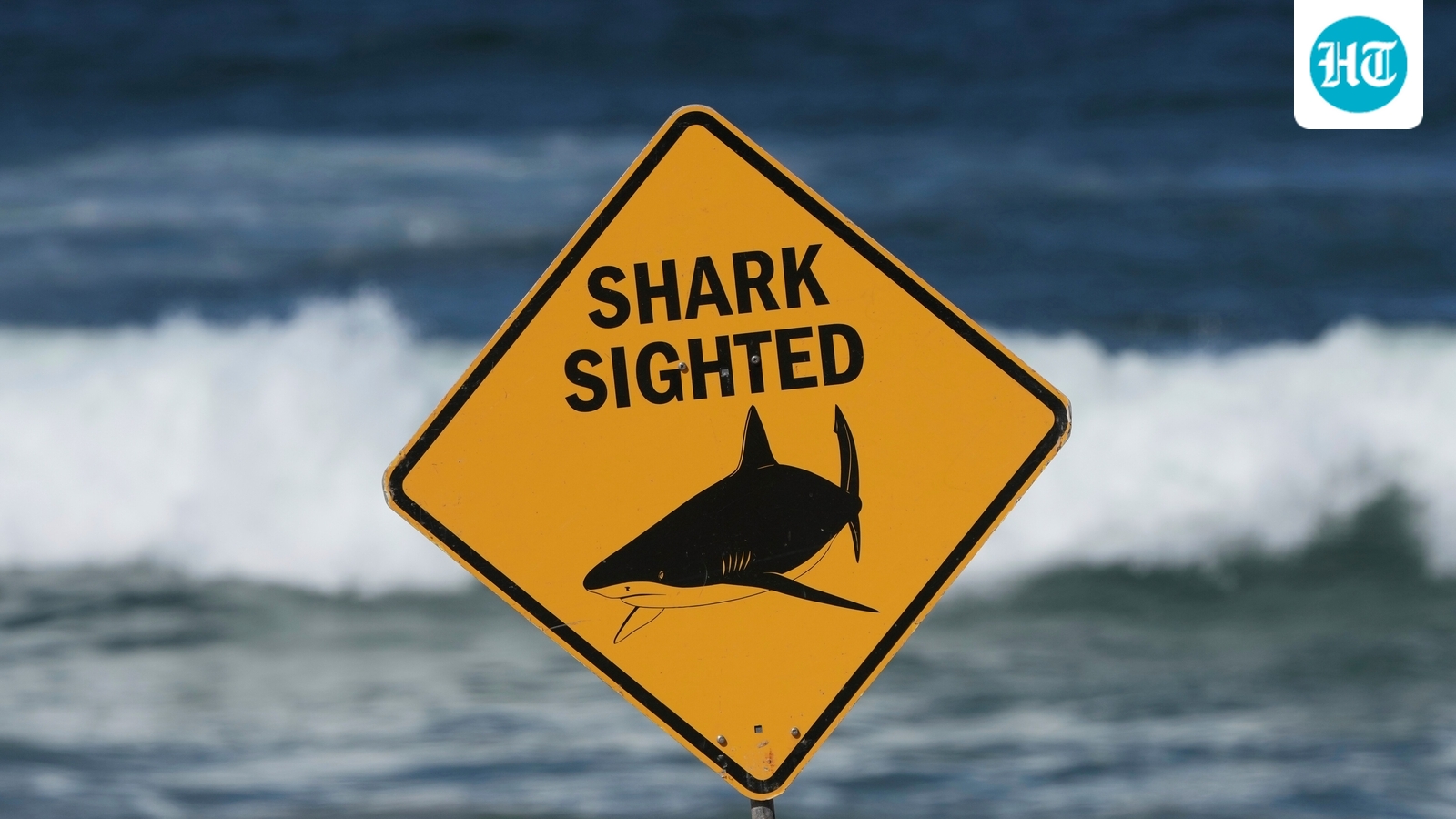 Shark kills one person, injures another in Australia