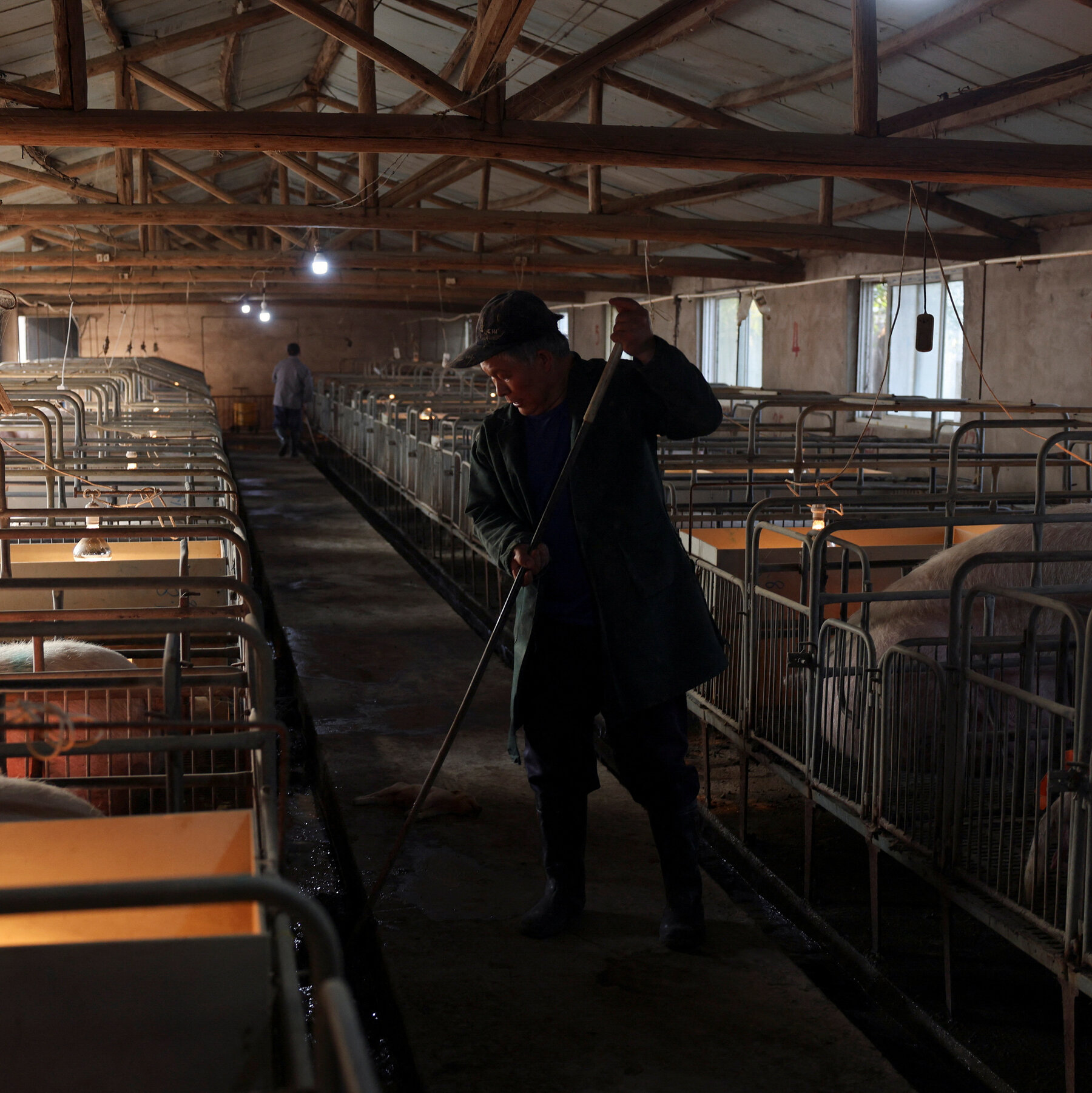 What Plunging Pork Prices Say About China’s Economy