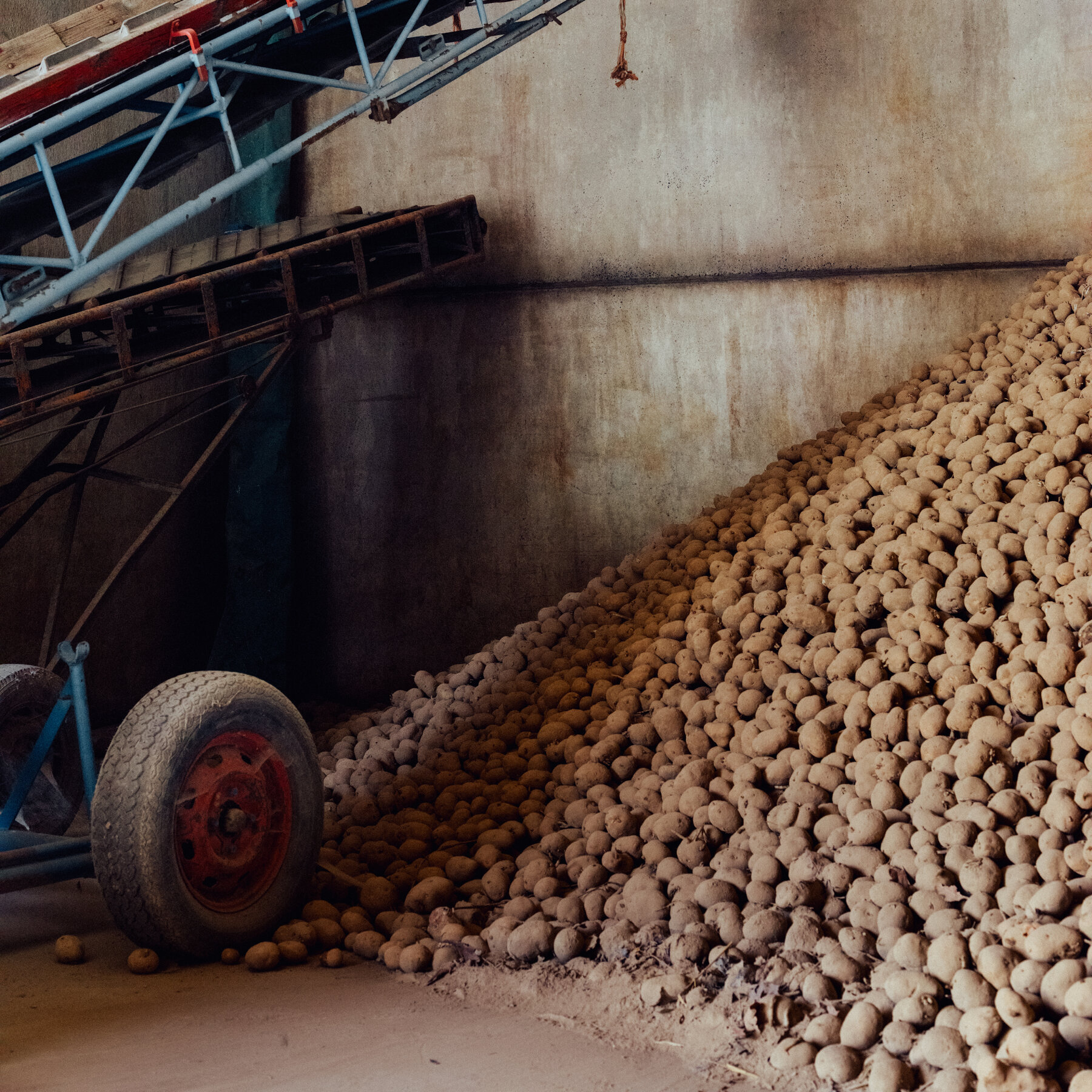 The World Capital of French Fries Has a Problem: Too Many Potatoes