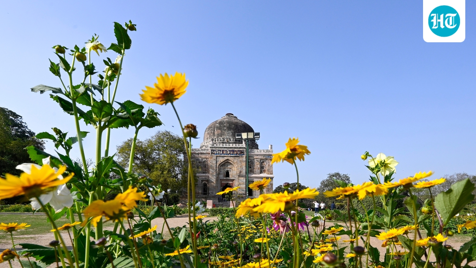 Delhi sees its warmest, most polluted February in 3 years: Why is it unusually hot?