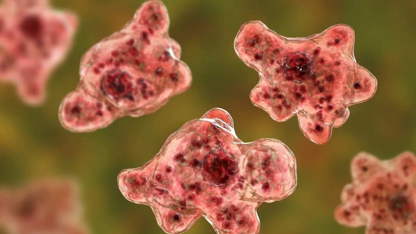 Amoebic Meningoencephalitis: 23 deaths reported in Kerala so far