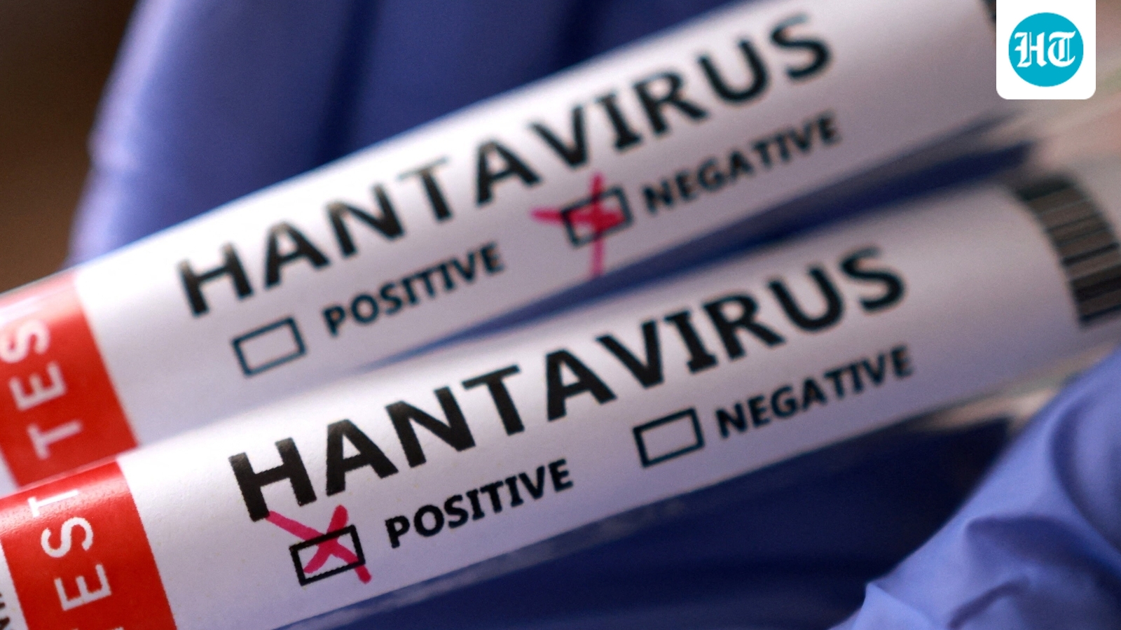 ‘Possibility of more cases, but public risk remains low’: WHO on hantavirus outbreak on cruise ship