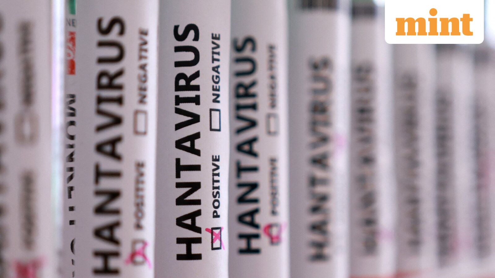 What is Hantavirus? Symptoms, spread, treatment and prevention explained