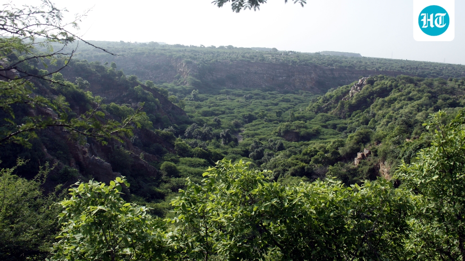 Centre: Forest violators must show proof of afforestation