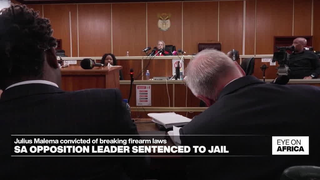 South African opposition leader Malema gets jail sentence