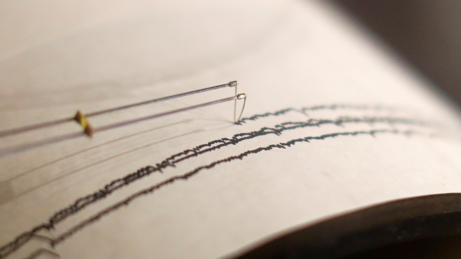 Earthquake of 5.1 magnitude shakes Assam, felt in Meghalaya