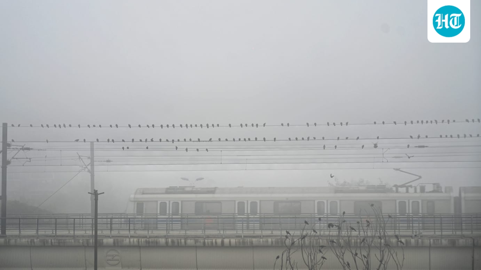 What's allowed, what's not as GRAP-4 restrictions back in Delhi-NCR amid 'severe' AQI