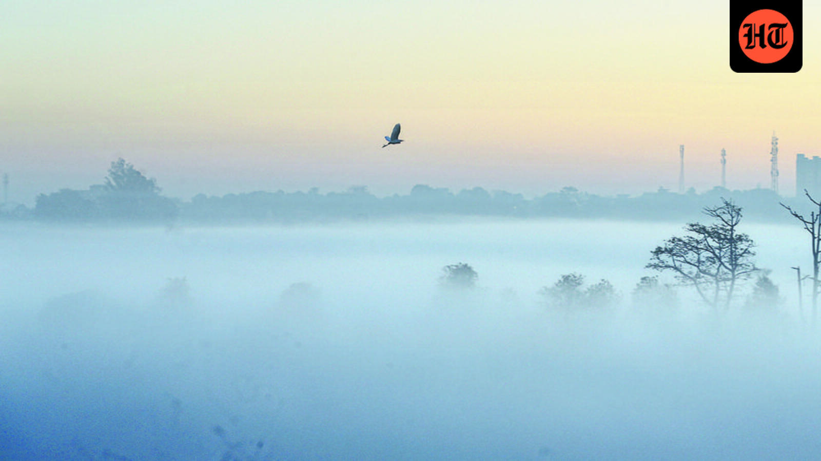 Severe cold, fog set to welcome New Year: IMD