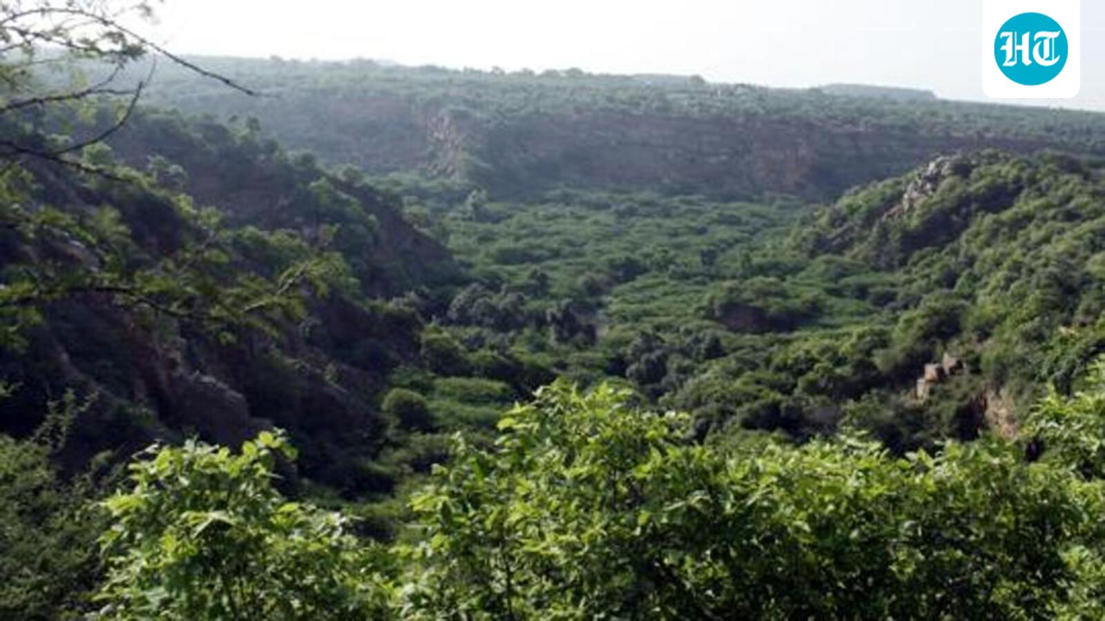 SC stays Aravalli order, stresses ecological risks