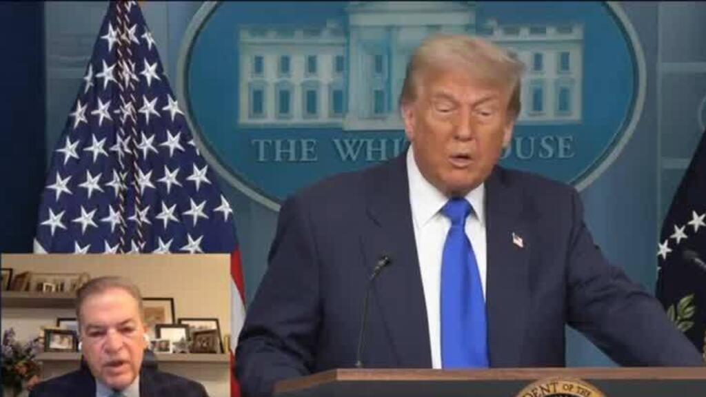 'Class action' or 'injunction': Legal paths to block Trump’s ban on birthright citizenship