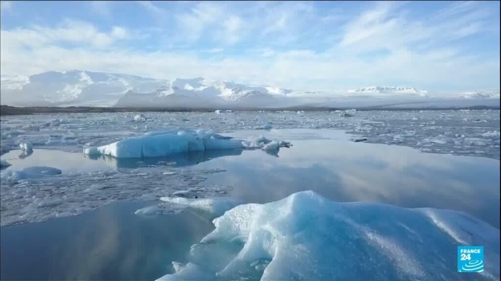 Mosquitoes found in Iceland for first time as climate crisis warms the country