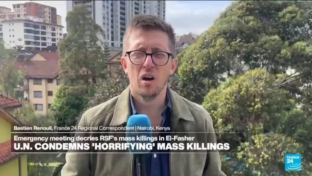 Humanitarian crisis deepens in Sudan after RSF take over el-Fasher