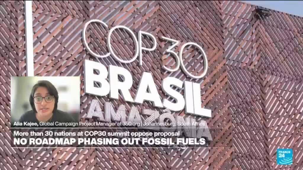 COP30: 'Just a platform to bring nations together and negotiate what countries bring to the table'