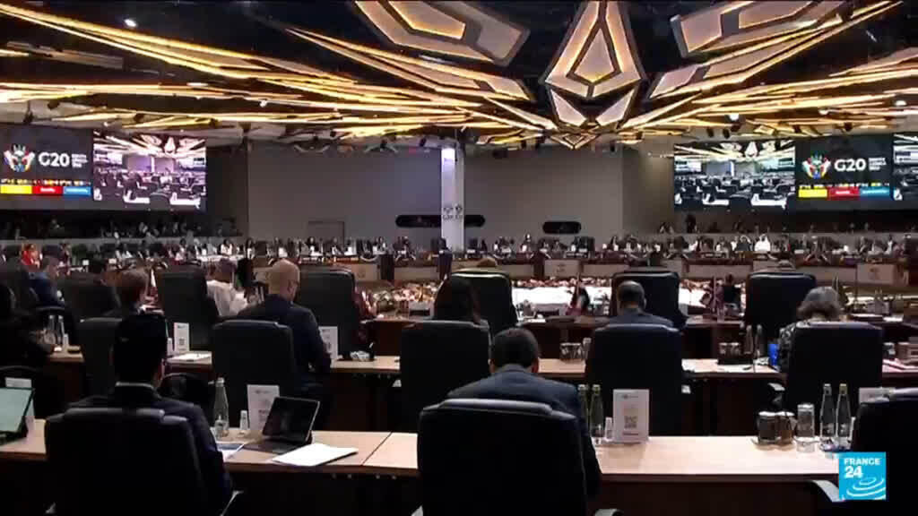 G20 declaration adopted unanimously: World leaders defy US boycott to summit in Africa