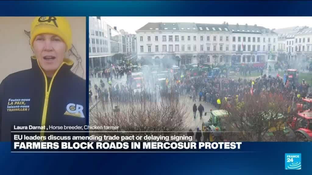 Lumpy skin disease sparks French farmers protests