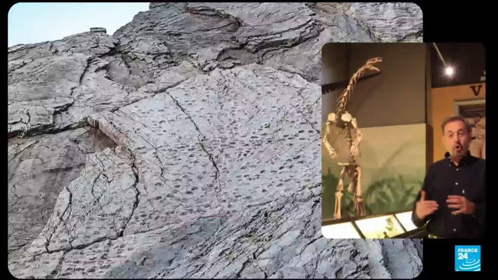 Italy: Thousands of dinosaur footprints discovered near Winter Olympics site