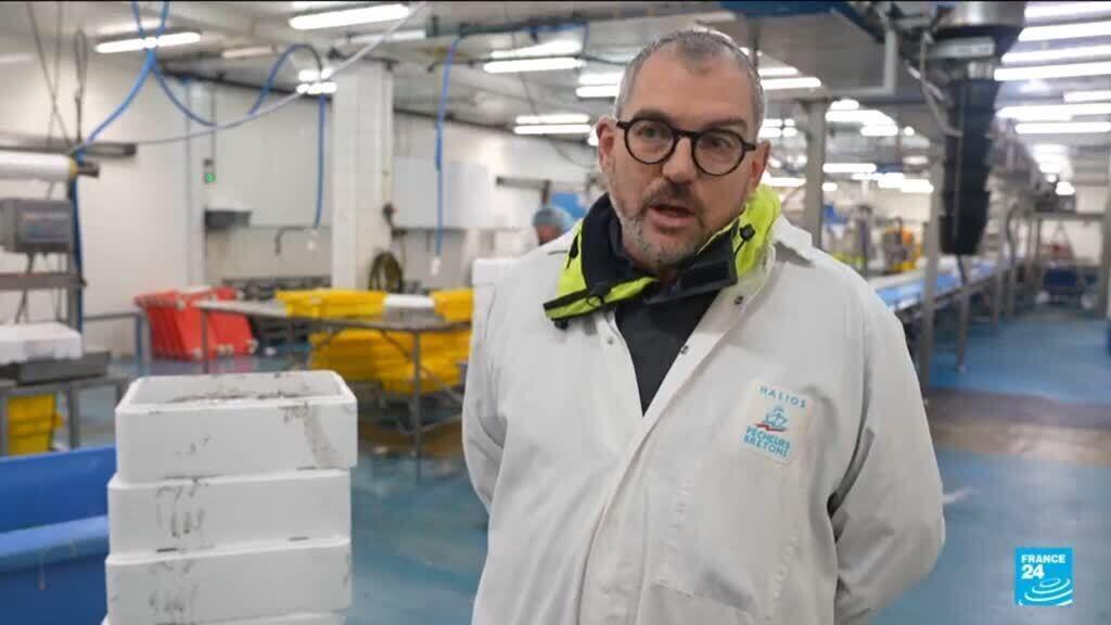 Five years after the UK left EU market, the impact on French fishermen
