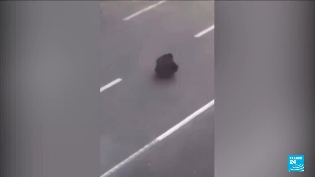 'Iran's Tainanmen': Video of protester defying police in Iran goes viral