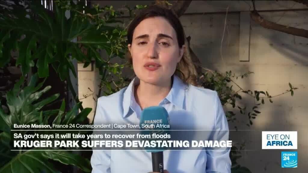 South Africa's Kruger National Park suffers severe damage due to floods