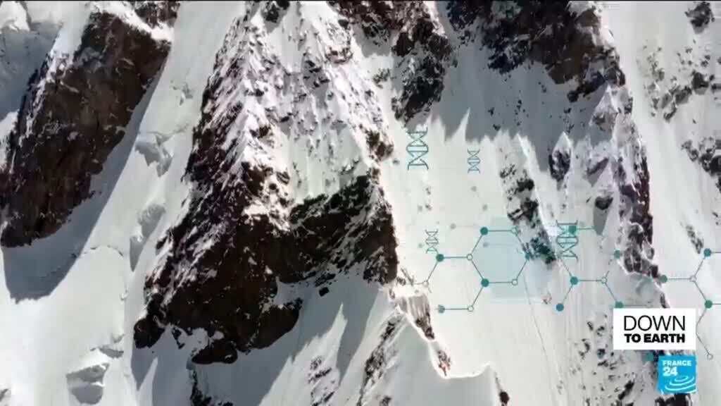 Frozen mysteries: The scientific race to document little-known glacial habitats