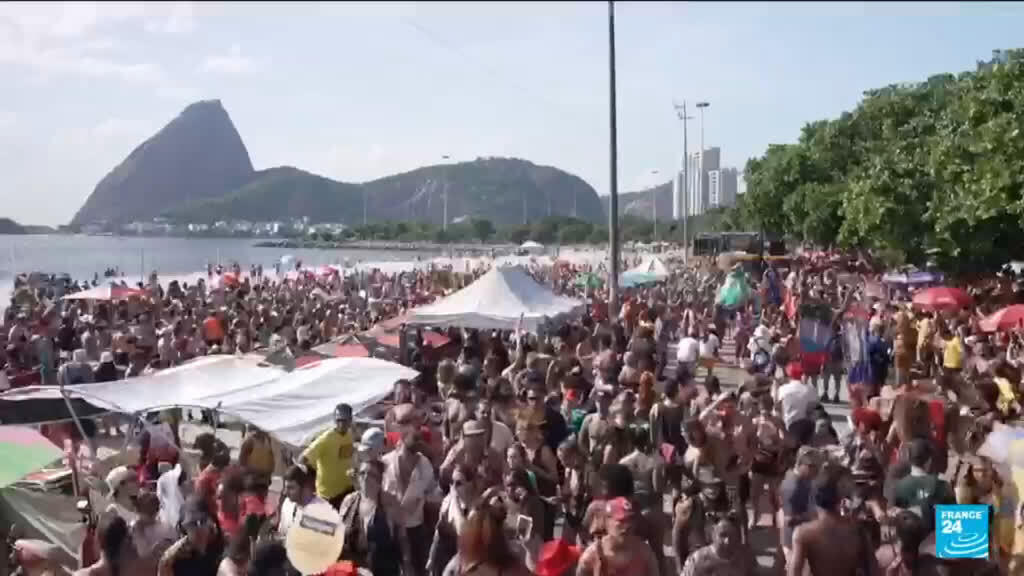 Brazil: Dogs join Rio Carnival parade