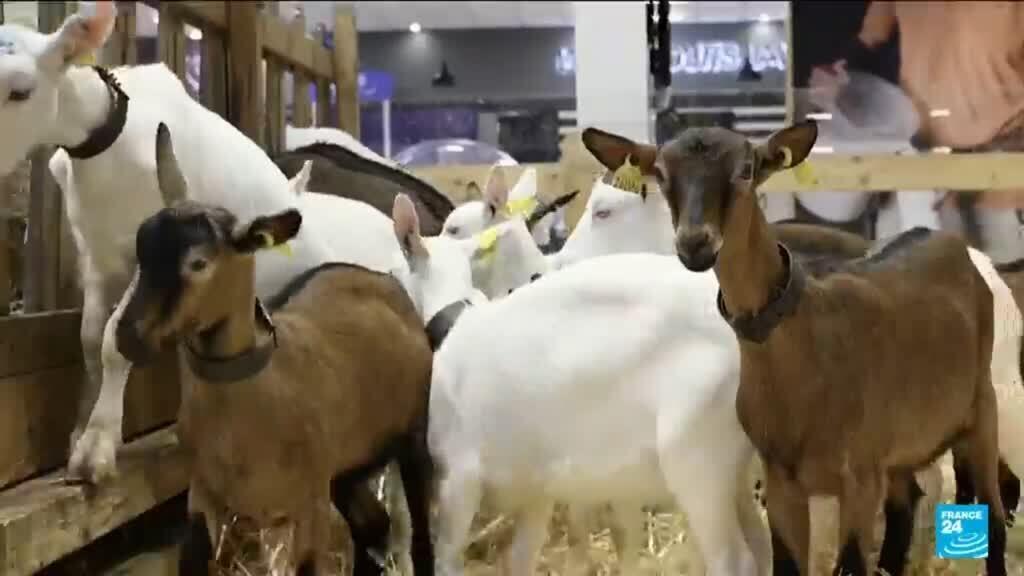 France's annual agricultural show gets underway in Paris