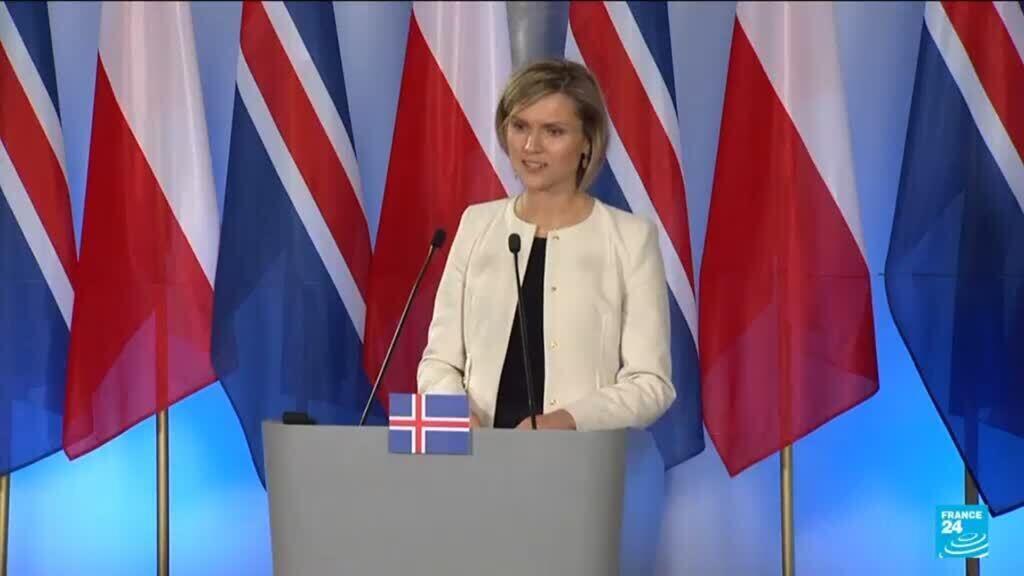 Iceland to hold EU referendum 'over the coming months', Prime Minister says