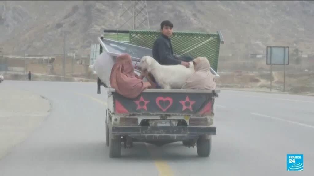 Civilians flee fighting after Pakistan bombs Afghan cities