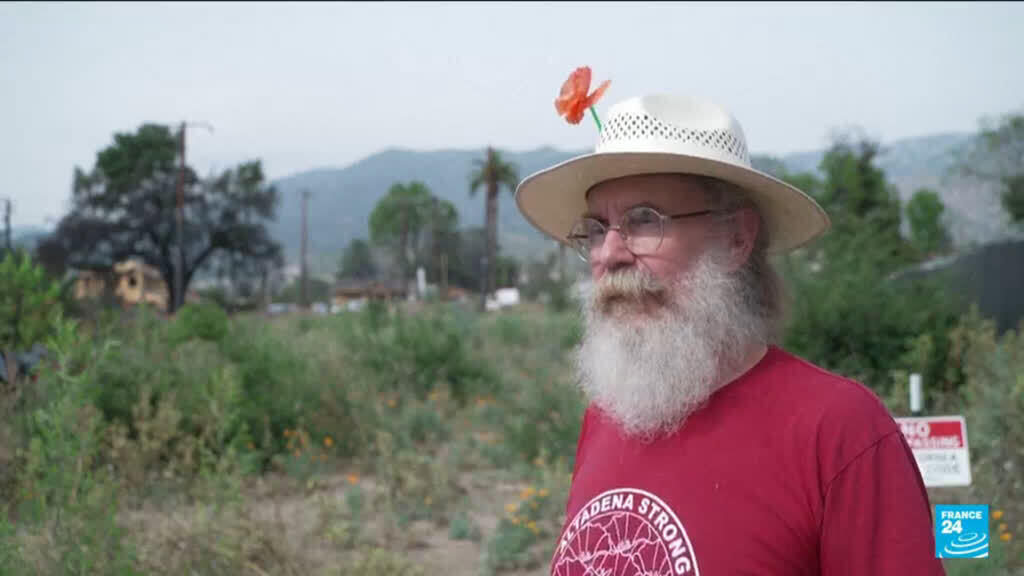 Poppies offer hope in fire-scarred Los Angeles