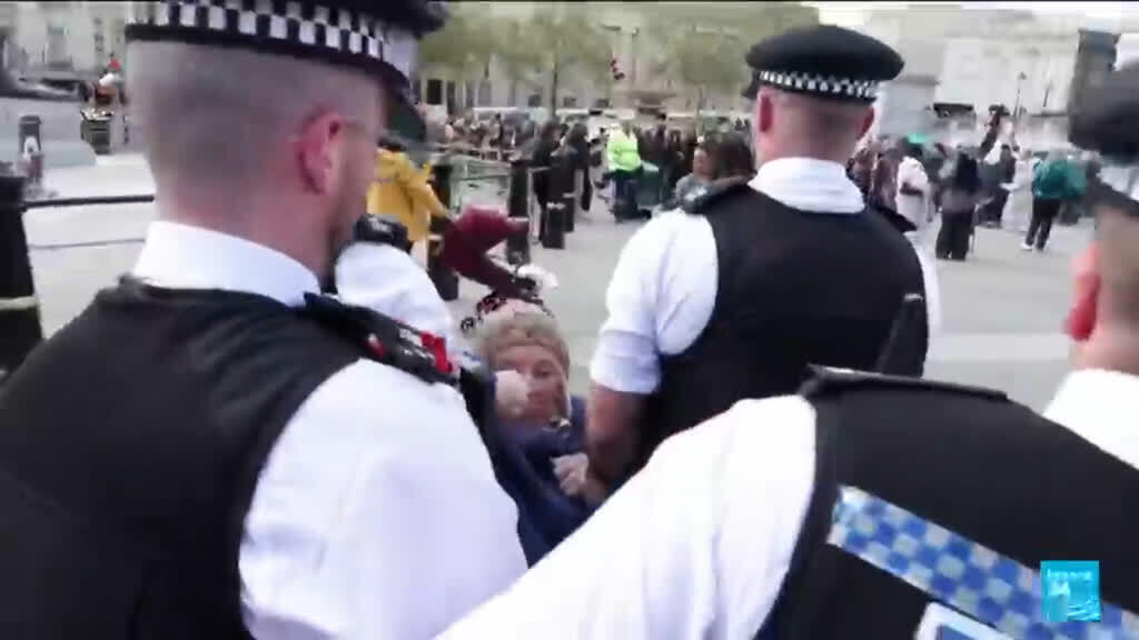 Pro-Palestinian rally in London: Over 500 arrested
