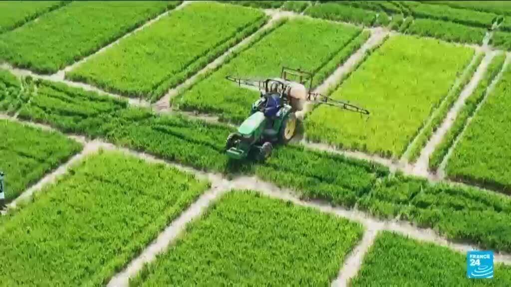 US farmers pay price of Strait of Hormuz closure