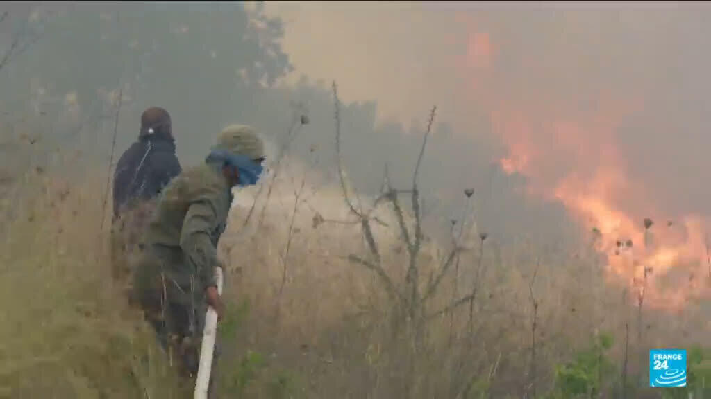Nearly all of Europe had above-average heat last year, as climate records toppled