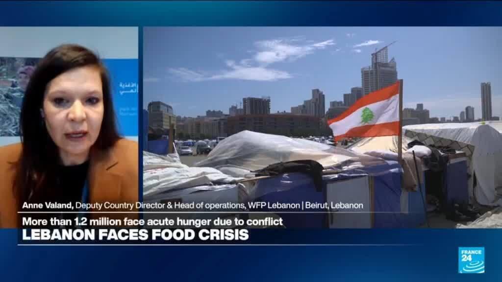 Lebanon's food security crisis and displacement 'going to have a lasting effect'