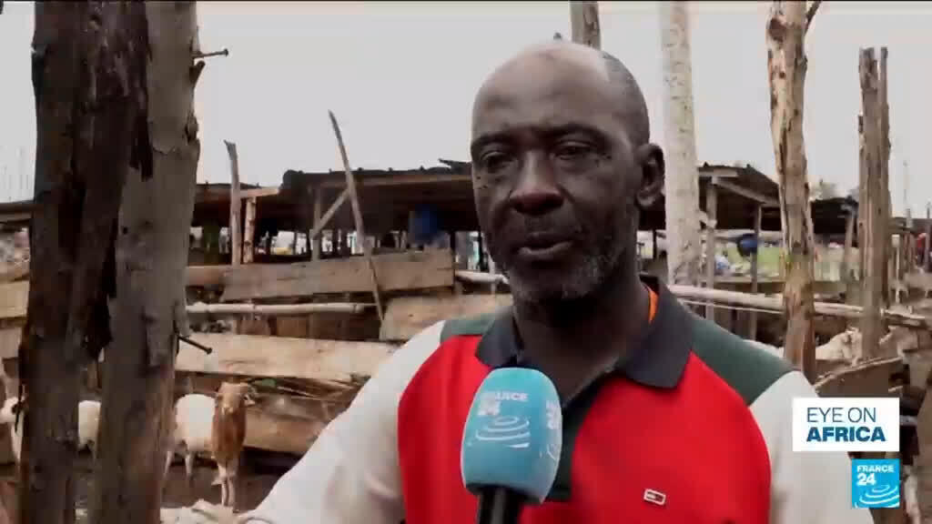 I. Coast faces sheep shortage ahead of Tabaski amid Sahel trade disruptions