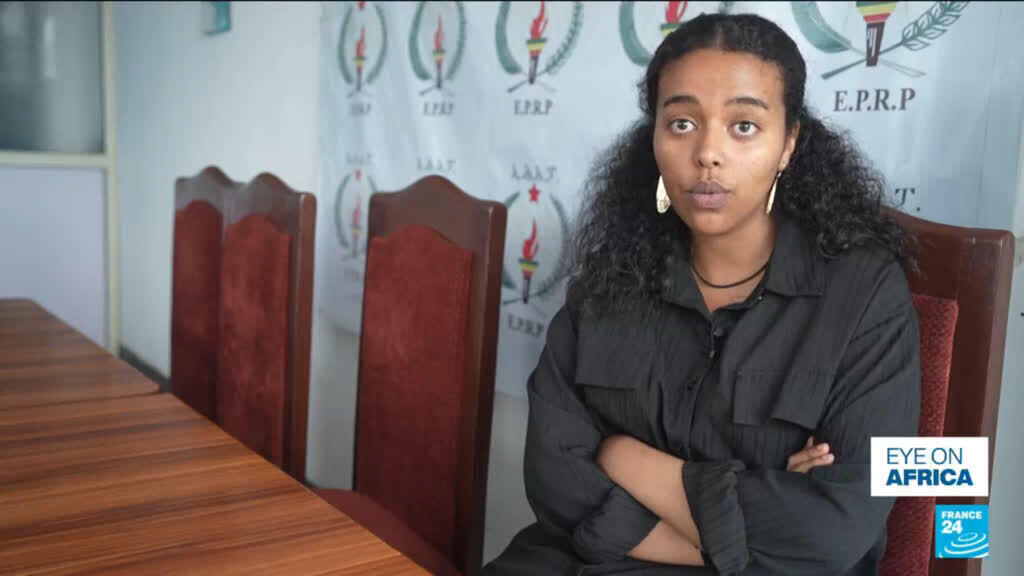 Threats and control: Ethiopia opposition raises alarm ahead of elections