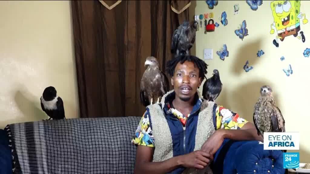 Kenya’s "Birdman" goes viral with rescued birds — and sparks health concerns