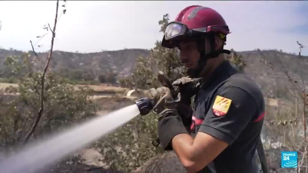 France - Wildfires: 1,500 evacuated from campsites near Perpignan