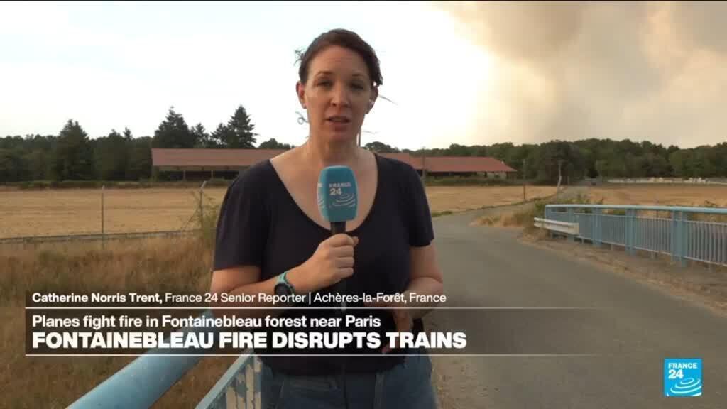 Two arrested as Fontainebleau forest near Paris ravaged by fire, prompting evacuations