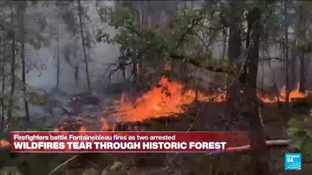 France: Wildfires tear though historic forest of Fontainebleau near Paris