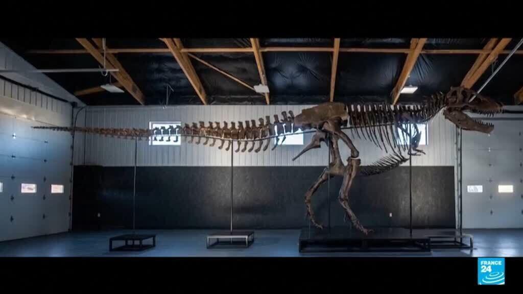 T. rex skeleton fetches record $50.1 mn at US auction